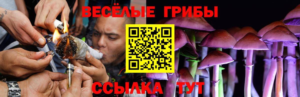 Псилоцибиновые грибы Cubensis  Псилоцибиновые грибы мухоморы  Новоалександровск  Вход с VPN 